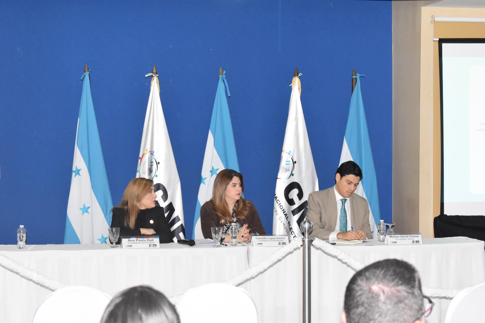 Líderes políticos advierten sobre injerencia de LIBRE en elecciones