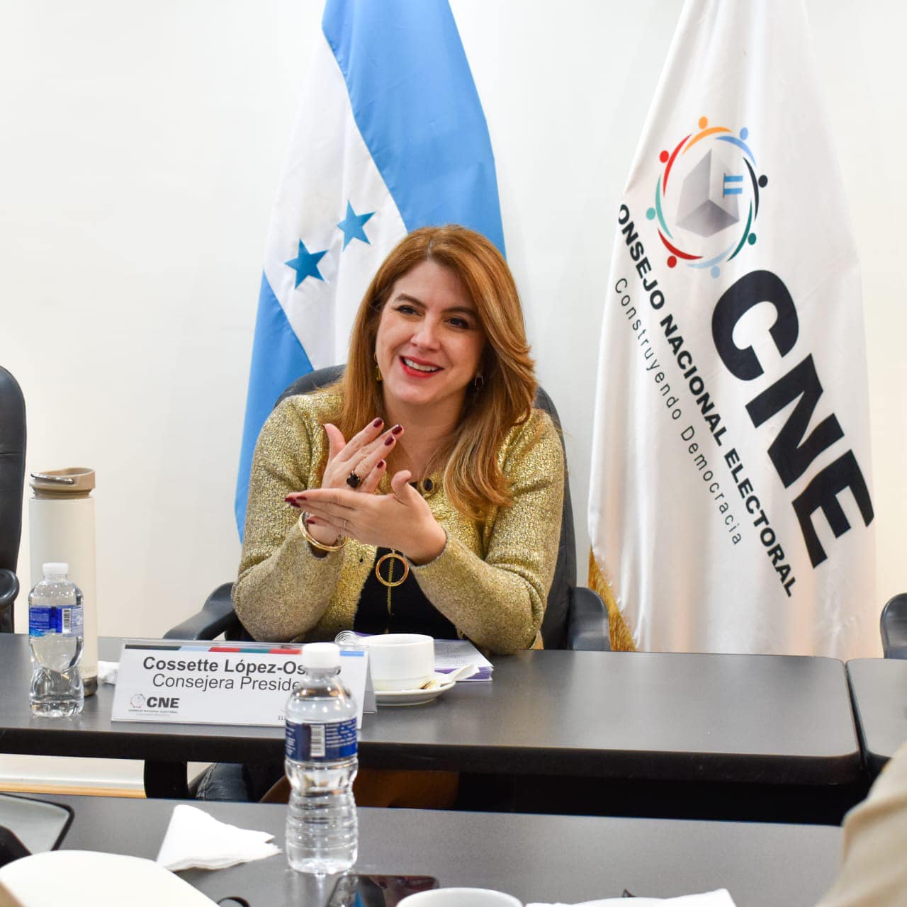 Piden protección internacional para el CNE en Honduras